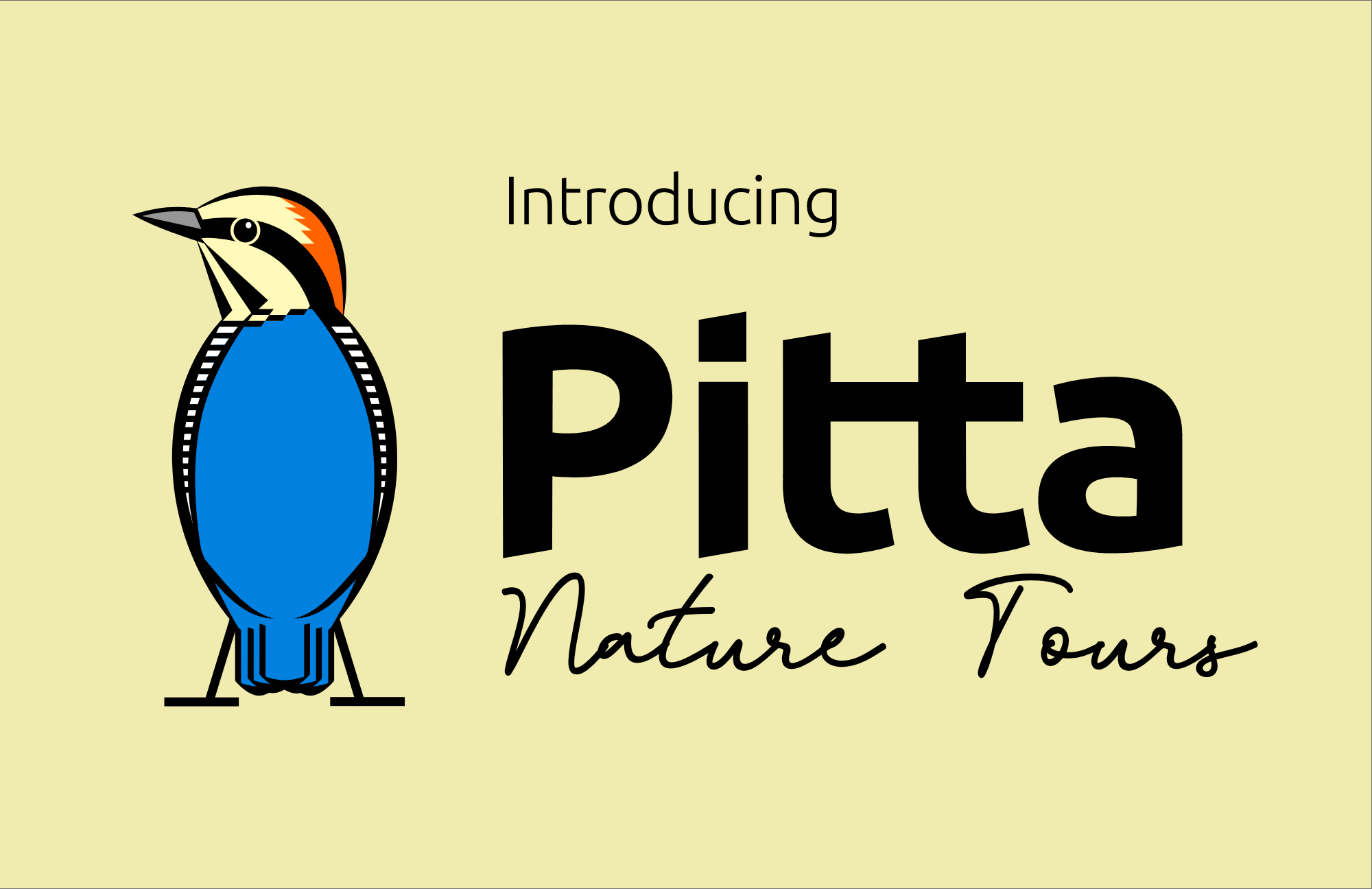 Mountain West Birding Company is now Pitta Tours